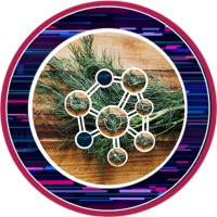 Eatoverse Logo