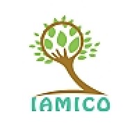 IAMICO Analysis Pvt Ltd Logo