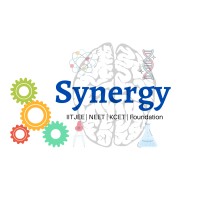 Synergy Learning Logo