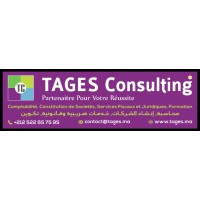 TAGES CONSULTING Logo