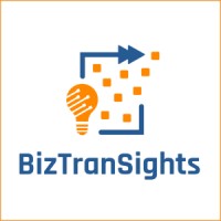 BizTranSights Logo
