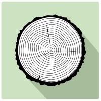 MobiPolter Logo