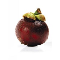Mangosteen & More Logo