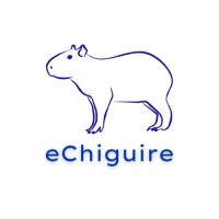 eChiguire Logo