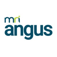 Angus Systems Logo