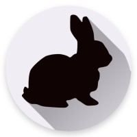 SnapRabbit Logo