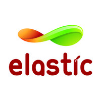 elastic Logo