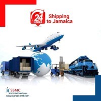 SSMC Xpress Intl BDG Logo