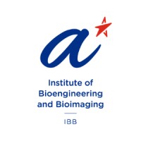 A*STAR Institute of Bioengineering & Bioimaging (IBB) Logo