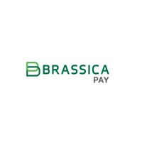 Brassica Pay Gh Logo