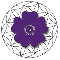 Good Organisations Logo