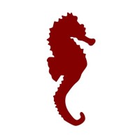 Tidal Horse Logo