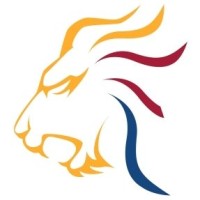 VeNetWork Logo