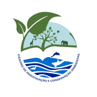 CICA Logo