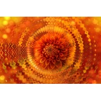 Kalidiscope LLC Logo