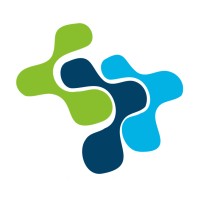 Raimon Logo