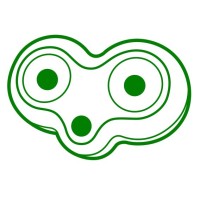 GREEN FORTUNE AB Logo