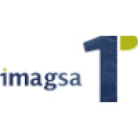 Imagsa Technologies S.A. Logo