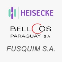 Grupo Heisecke Logo