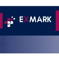 Expert Mark Group Logo