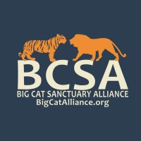 Big Cat Sanctuary Alliance Logo