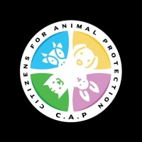 Citizens For Animal Protection Foundation Logo