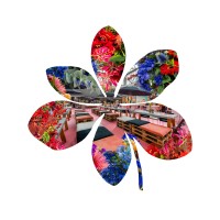 Expo Flora Harmelen BV Logo