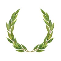 Ducato Capital Logo
