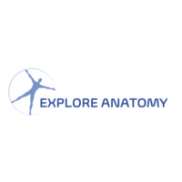 Explore Anatomy Logo