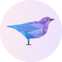 Soloviov Marketing Agency Logo