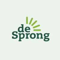 De Sprong vzw. Logo