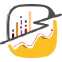 FIFTH RAY SYSTEM PVT. LTD. Logo