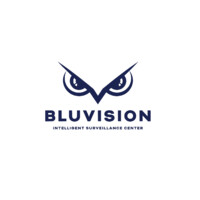 Bluvision Surveillance & Analytics Logo