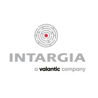 INTARGIA Managementberatung Logo