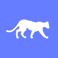 Leopard.FYI Logo
