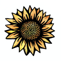 Sunny Drives Logo