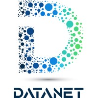 DATANET SOLUTIONS USA Logo