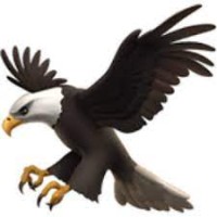 Eagle Eye Newsletter Logo