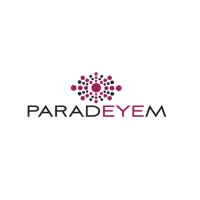 Paradeyem Software Logo