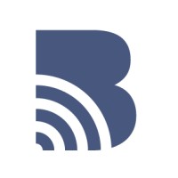 Blue Mesh Solutions Logo
