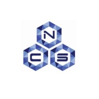Neural Claim System Logo