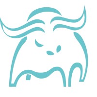 Strong Financial Management B.V. Logo