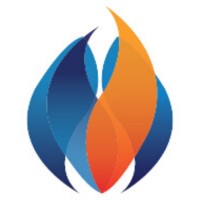 LSS Holdings Logo