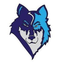 Timberview Middle School- Academy 20 Logo