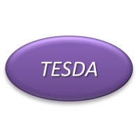 Taiwan Electronic System Design Automation，台灣電子系統設計自動化 Logo