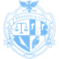 David Brandi - Brandi & Co Logo