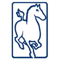 Ferghana Partners Logo