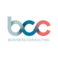 BCC Business Consulting Logo