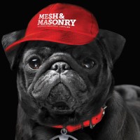 Mesh & Masonry Logo