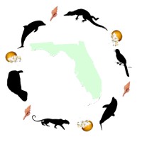Florida Geographic Alliance Logo